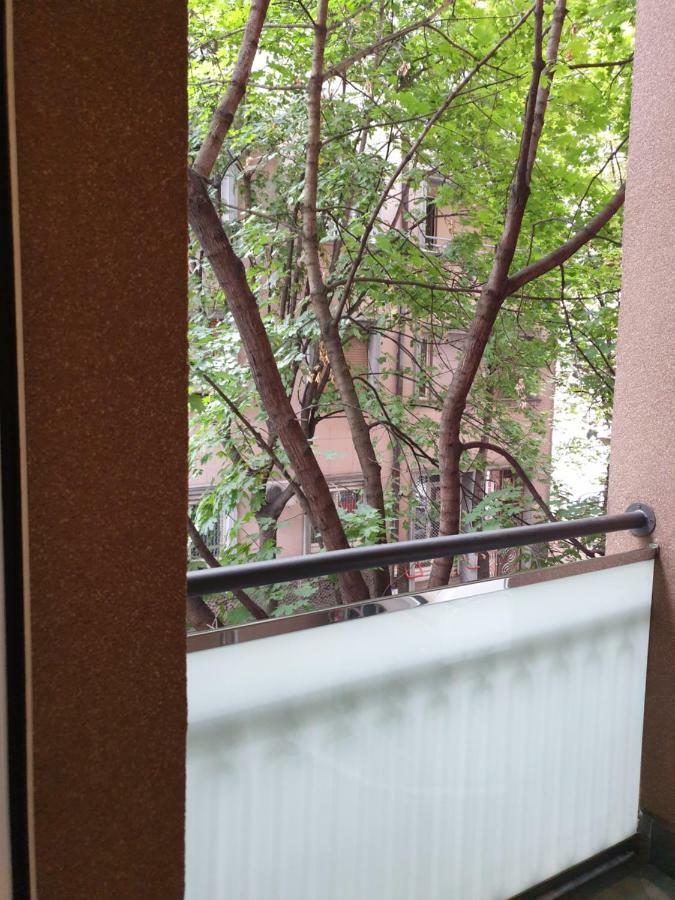 Metropol Lux Apartment Belgrade Vracar Exteriör bild